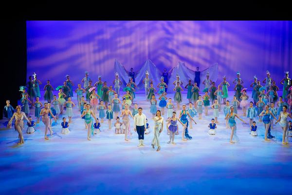 De Kleine Zeemeermin: Video